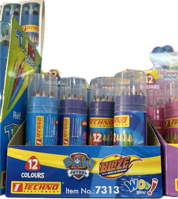 CRAYONS DE COULEURS WOW mini PAW patrol EFFAÇABLE BOITE RONDE 18 PIECES "TECHNO" REF: 7313